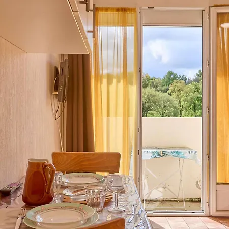 Lumineux 22 M², Balcon, Wifi, Animaux Admis - Fr-1-841-46