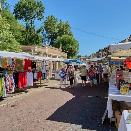 Lumineux 22 M², Balcon, Wifi, Animaux Admis - Fr-1-841-46 Daire