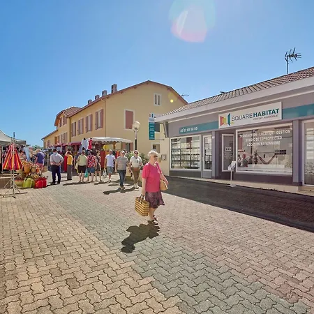 Lumineux 22 M², Balcon, Wifi, Animaux Admis - Fr-1-841-46 Barbotan-les-Thermes