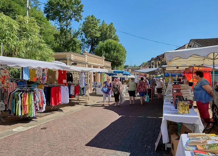 Lumineux 22 M², Balcon, Wifi, Animaux Admis - Fr-1-841-46 アパート